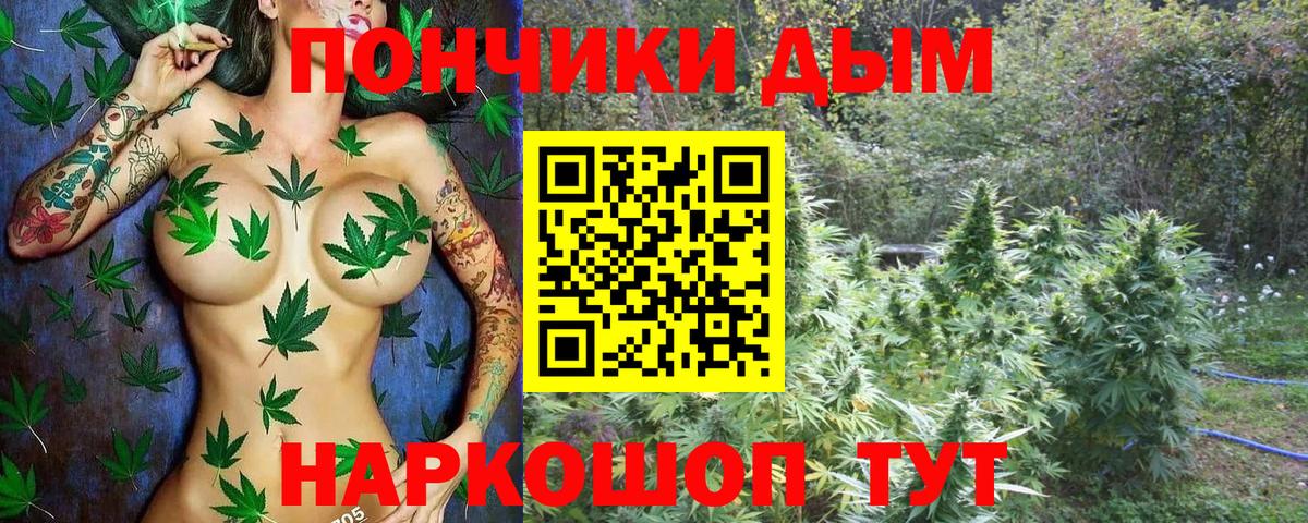 Канабис конопля  Канабис сатива  Вход с VPN  Симферополь  Каннабис OG Kush 